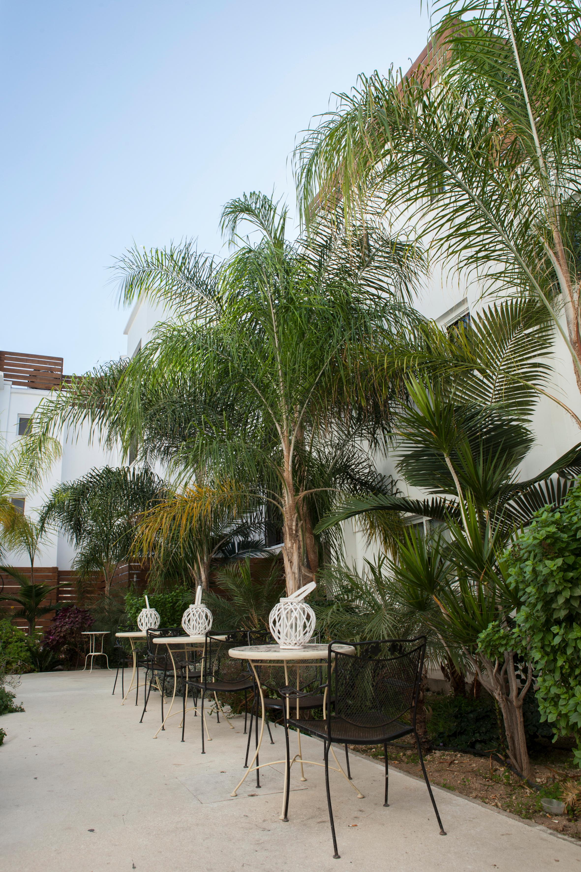 Alecos Hotel Apartments Pafos Dış mekan fotoğraf
