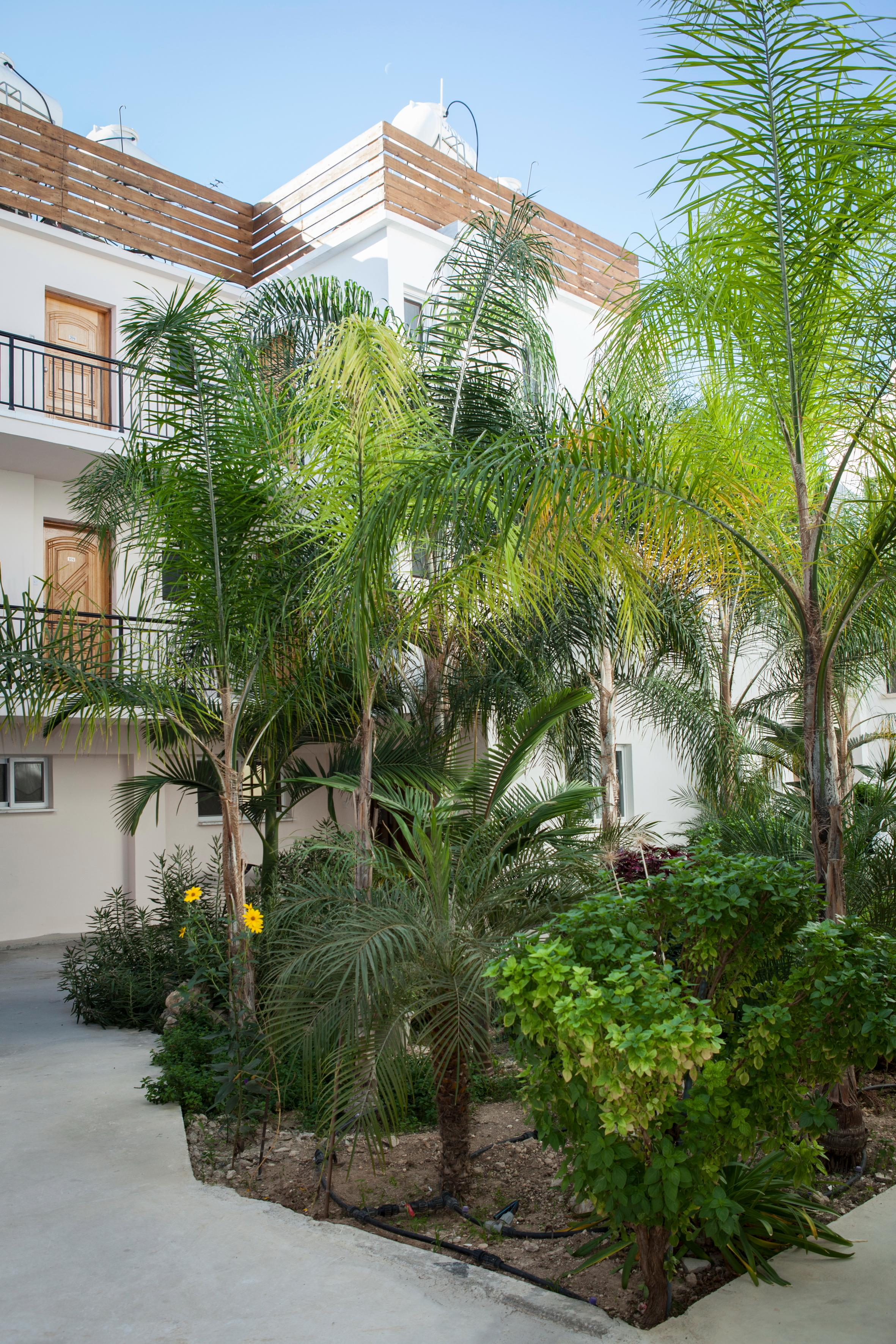 Alecos Hotel Apartments Pafos Dış mekan fotoğraf