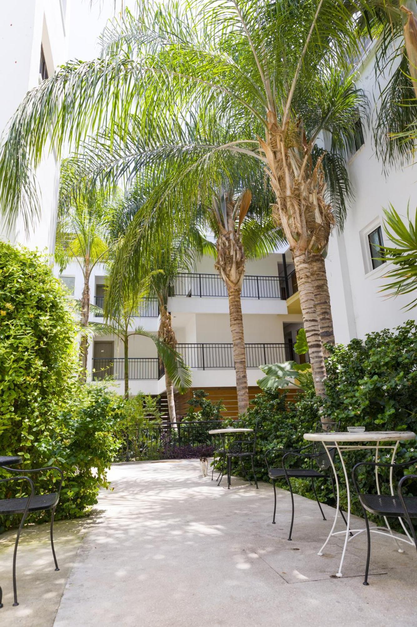 Alecos Hotel Apartments Pafos Dış mekan fotoğraf